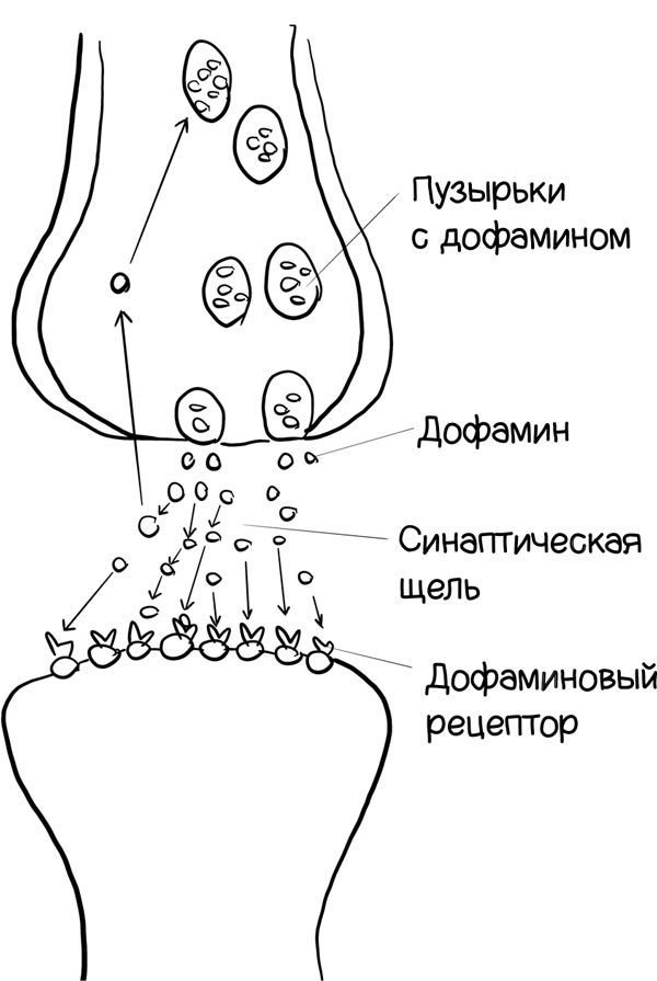 Как запомнить все! Секреты чемпиона мира по мнемотехнике - i_007.jpg