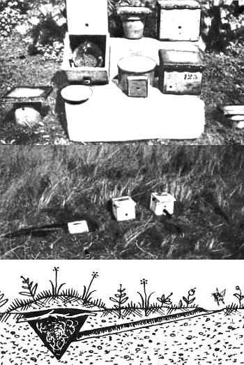 Шмели и термиты - _68.jpg