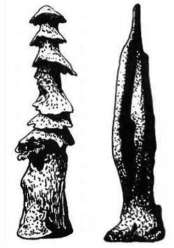 Шмели и термиты - _79.jpg