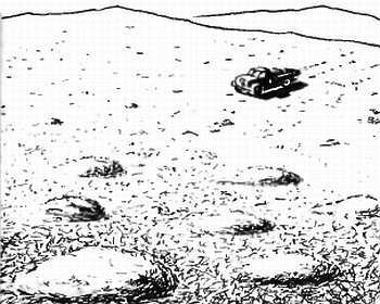 Шмели и термиты - _87.jpg