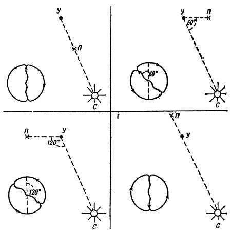 От пчелы до гориллы - _02.jpg