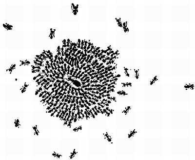 От пчелы до гориллы - _35.jpg