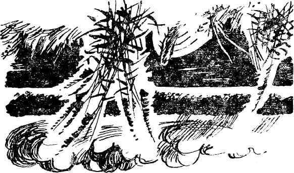 Старая дорога - img_9.jpeg