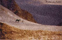 Выиграть жизнь - i_007.jpg