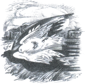 Стихотворения - i_002.png