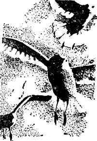 Турухтанные острова - img_3.jpeg