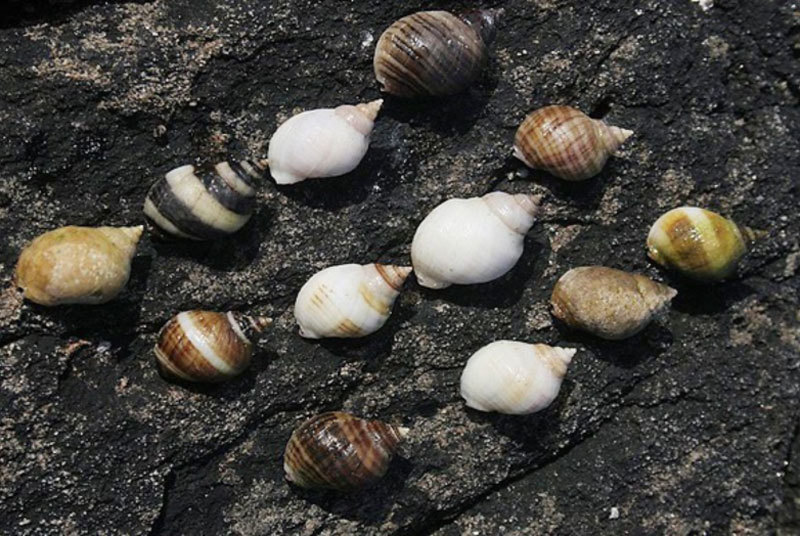 Что ответить дарвинисту? Часть II - i_002.jpg