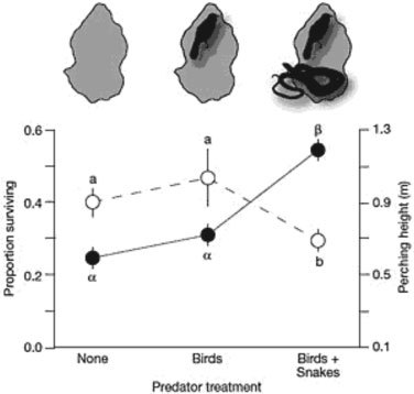 Что ответить дарвинисту? Часть II - i_007.jpg