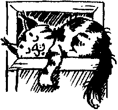 Пончик идёт по следу - i_040.png