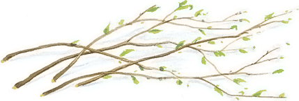 Все лучшие сказки и рассказы - i_033.png