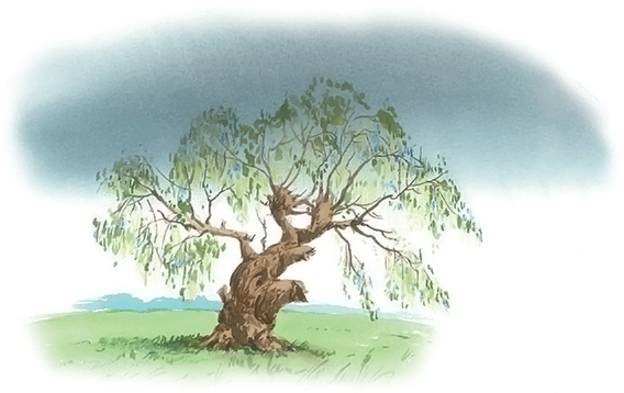 Все лучшие сказки и рассказы - i_034.png