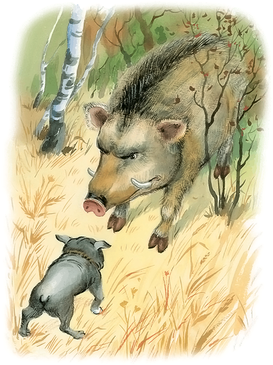 Все лучшие сказки и рассказы - i_046.png