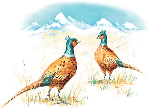 Все лучшие сказки и рассказы - i_048.png