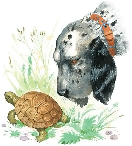 Все лучшие сказки и рассказы - i_051.png