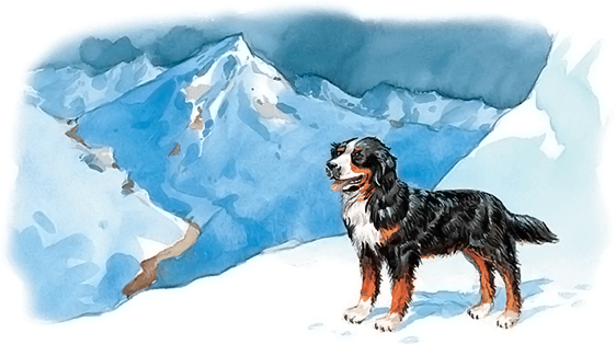 Все лучшие сказки и рассказы - i_056.png