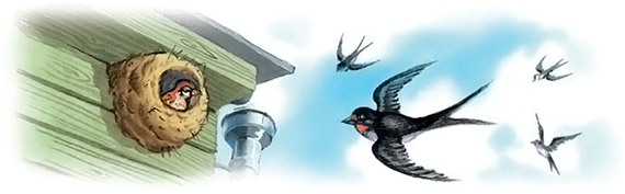 Все лучшие сказки и рассказы - i_059.png