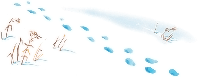 Все лучшие сказки и рассказы - i_062.png