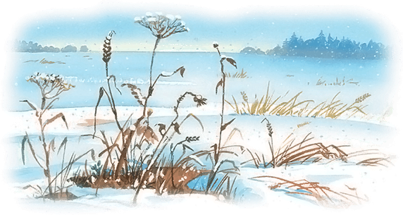 Все лучшие сказки и рассказы - i_064.png