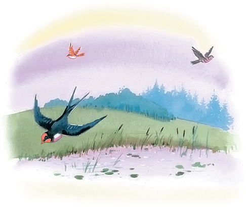 Все лучшие сказки и рассказы - i_095.png