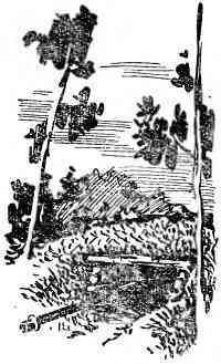 Подвиг бессмертен - _11.jpg