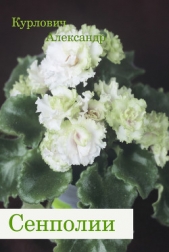  Курлович Александр - Сенполии