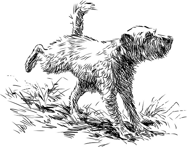 Мильтон и Булька. С вопросами и ответами для почемучек - _003.jpg