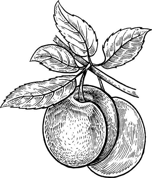 Мильтон и Булька. С вопросами и ответами для почемучек - _006.jpg