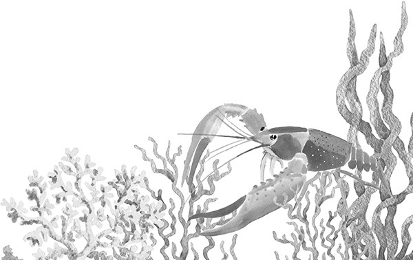 Мильтон и Булька. С вопросами и ответами для почемучек - _007.jpg