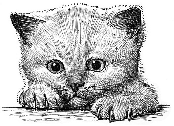 Мильтон и Булька. С вопросами и ответами для почемучек - _009.jpg