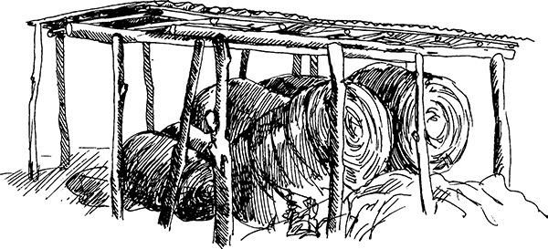 Мильтон и Булька. С вопросами и ответами для почемучек - _010.jpg