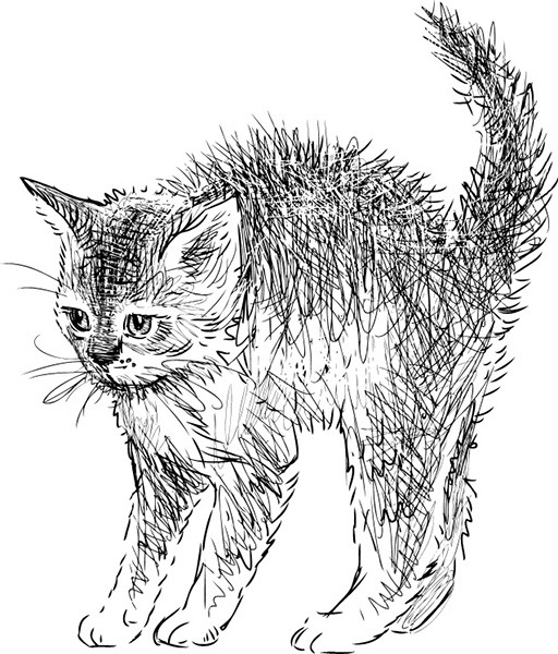 Мильтон и Булька. С вопросами и ответами для почемучек - _011.jpg