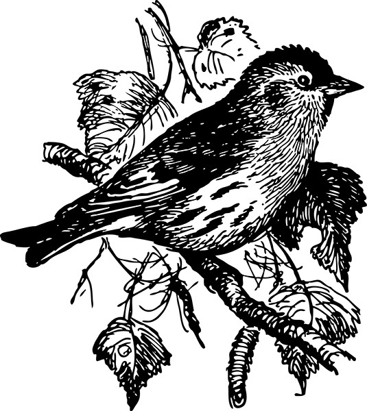 Мильтон и Булька. С вопросами и ответами для почемучек - _012.jpg