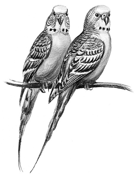 Мильтон и Булька. С вопросами и ответами для почемучек - _015.jpg