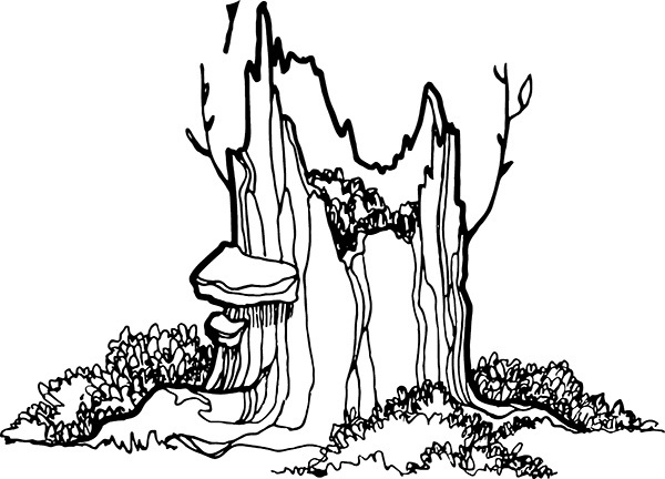 Мильтон и Булька. С вопросами и ответами для почемучек - _017.jpg