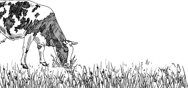 Мильтон и Булька. С вопросами и ответами для почемучек - _018.jpg