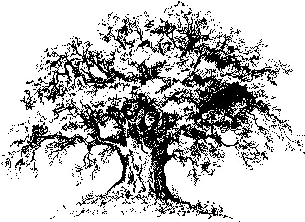 Мильтон и Булька. С вопросами и ответами для почемучек - _0161.jpg