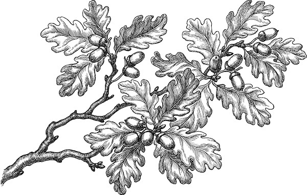 Мильтон и Булька. С вопросами и ответами для почемучек - _0162.jpg