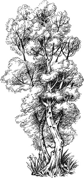 Мильтон и Булька. С вопросами и ответами для почемучек - _037.jpg