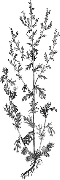 Мильтон и Булька. С вопросами и ответами для почемучек - _041.jpg