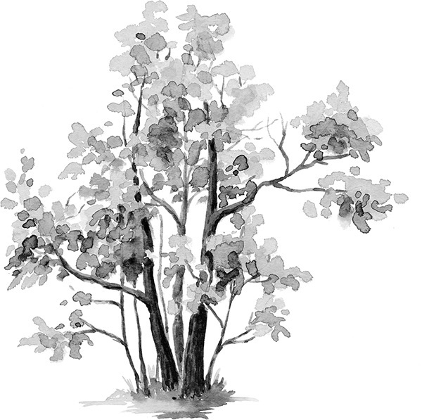 Мильтон и Булька. С вопросами и ответами для почемучек - _042.jpg