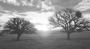 Каннские хроники. 2006–2016 - i_008.jpg