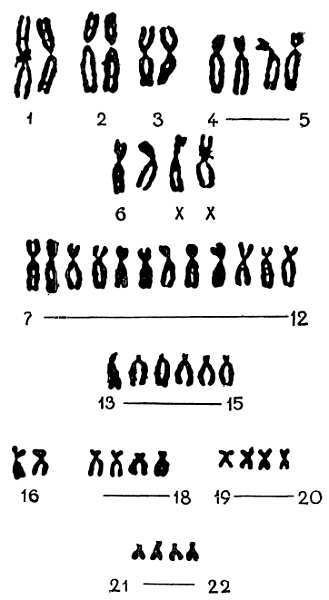 Знайте свои гены - _02.jpg