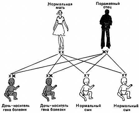 Знайте свои гены - _13.jpg