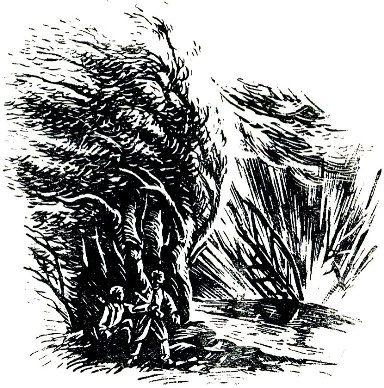 Плечом к плечу - i_003.jpg