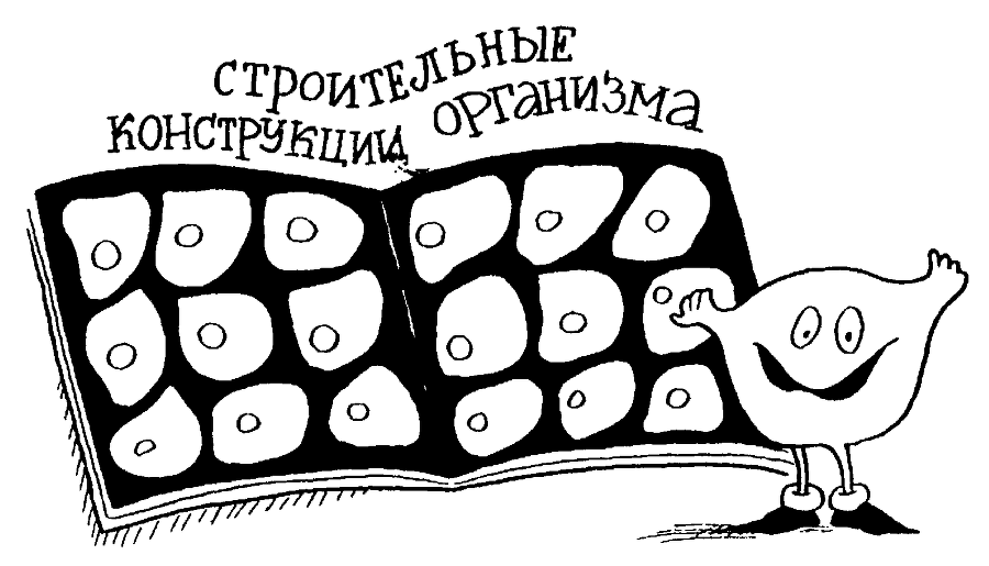 Я познаю мир. Тайны человека - image19.png