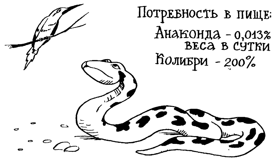 Я познаю мир. Тайны человека - image50.png