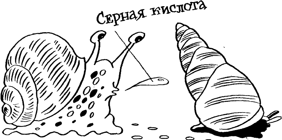 Я познаю мир. Тайны человека - image60.png