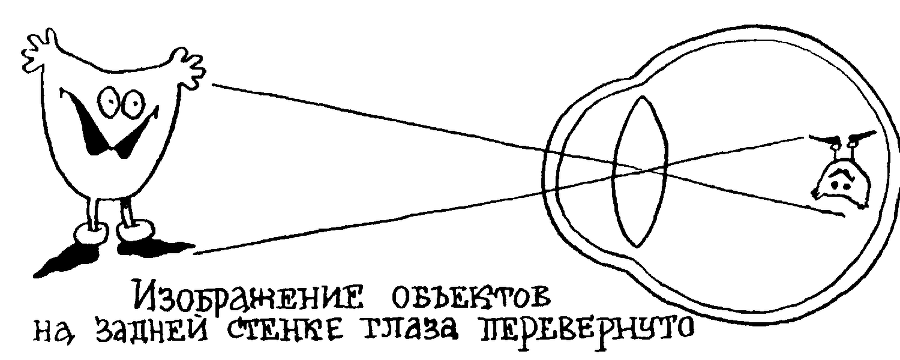 Я познаю мир. Тайны человека - image84.png