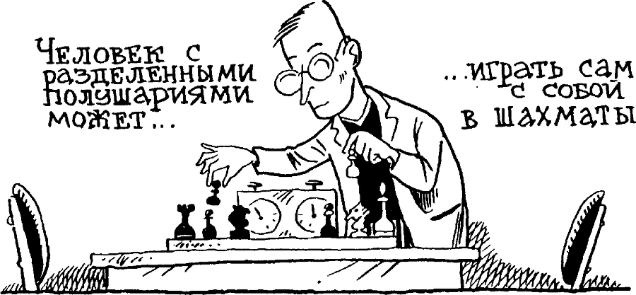 Я познаю мир. Тайны человека - image119.png