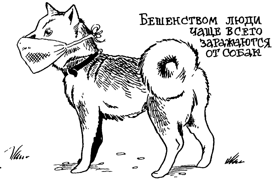 Я познаю мир. Тайны человека - image128.png